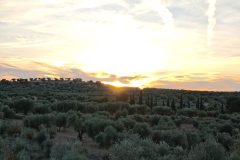 IMG_20251102_180109-copia-scaled